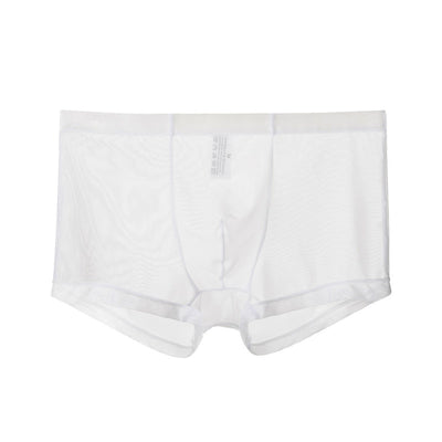 Underwear Pants Men Ultrathin Transparent Boxershorts Male Mid-rise Mesh Slips Homme Panties Boxer Shorts