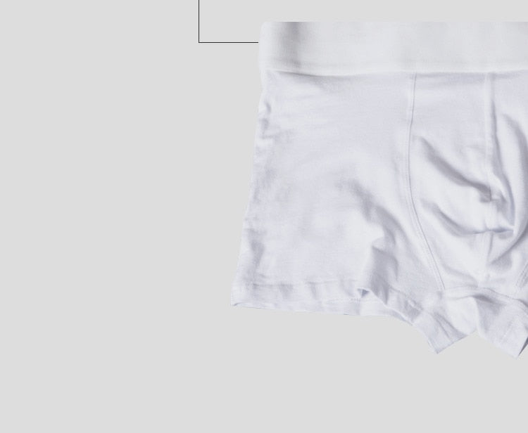 Boxer Sexy Underwear soft long boxershorts Cotton soft Underpants Male Panties 3D Pouch