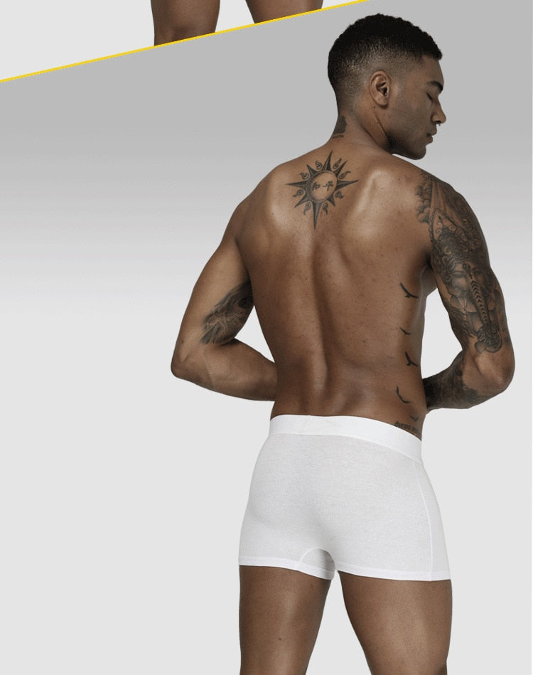 Boxer Sexy Underwear soft long boxershorts Cotton soft Underpants Male Panties 3D Pouch