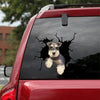 Car Stickers Cartoon 3D Skeleton Skull/CHICKEN/CAT/DOG  Wall Home Glass Window Door Laptop Truck Vinyl Decals