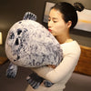 Plush Foca Gorda Seal Toy Stuffed Animal Foca Guatona Peluche Soft Doll Sleeping Pillow Cute Sea Lion Doll