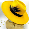 Fedora 9.5cm brim feather accessories autumn and winter jazz hat women's hat fashion Panama hat