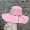 Fedora 9.5cm brim feather accessories autumn and winter jazz hat women's hat fashion Panama hat