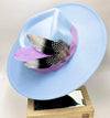 Fedora 9.5cm brim feather accessories autumn and winter jazz hat women's hat fashion Panama hat