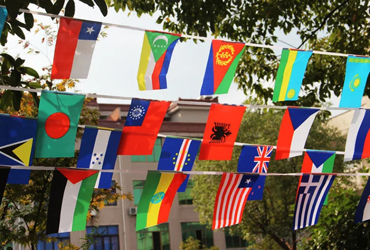FLAG 100/200 Countries National Flag14x21cm 20x30cm String Flag Countries Around The World Nations Flag For Party decor