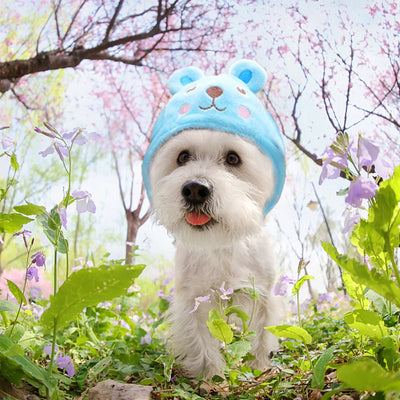 Cute Pet Hat for Cat Dress Up Dog Costume Halloween Christmas Cosplay Warm Headwear Dogs Hats